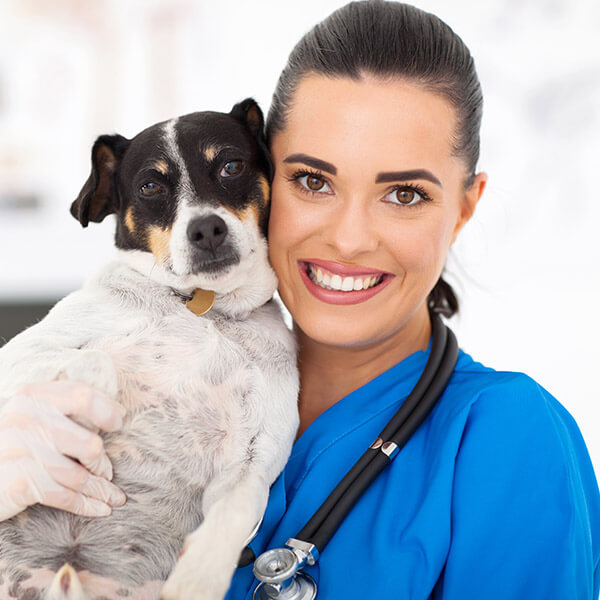 Veterinarian